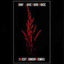 Jony - Love Your Voice