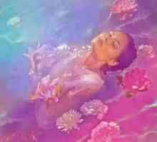 Nina Nesbitt - Toxic (Cover)