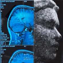 SALUKI - Oh boy, broke boy