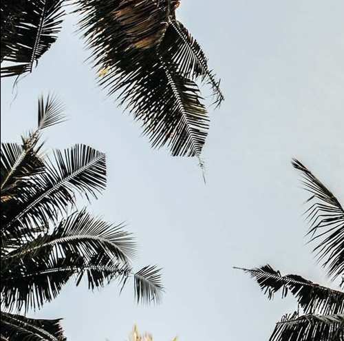 Miyagi, Эндшпиль - Бандит