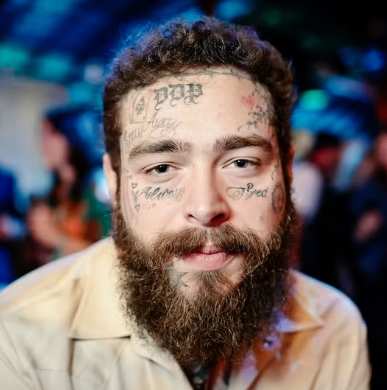 Post Malone - Looking for you