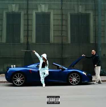 ICEGERGERT - Hoodtrapstar