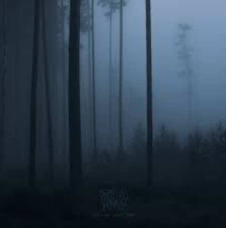 Remaining Warmth - Pale Wood