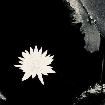 Miyagi & Эндшпиль - Наоборот